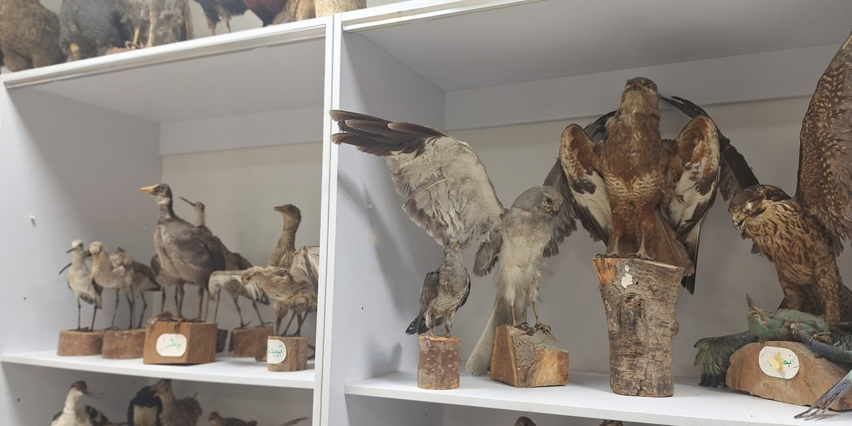 بازدید از موزه دانشگاه گلستان