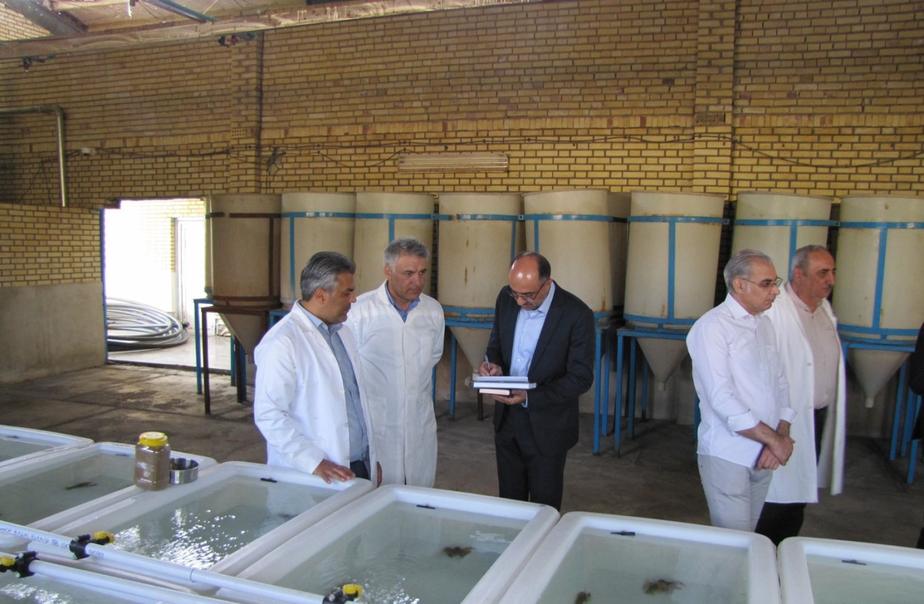 بازدید از مرکز تحقیقات آرتمیای کشور