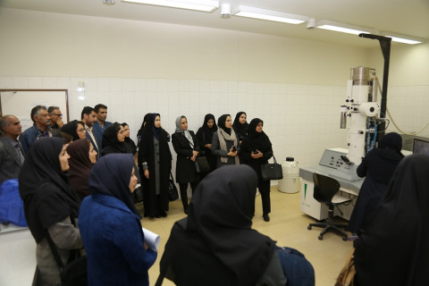 بازدید از آزمایشگاه های دانشگاه شهید باهنر کرمان