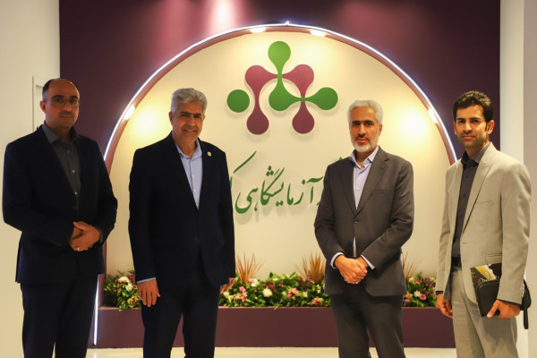 بازدیدها و جلسات