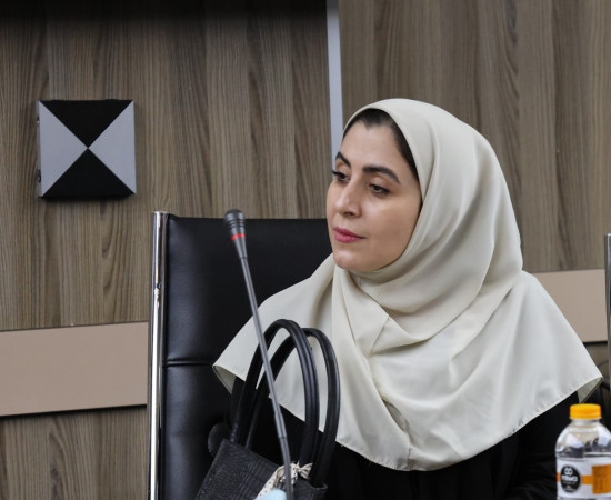 نشست آزمایشگاه های علوم و فناوری‌های شناختی به میزبانی آزمایشگاه ملی نقشه برداری مغز