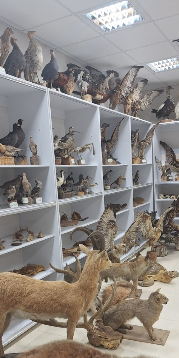 بازدید از موزه دانشگاه گلستان