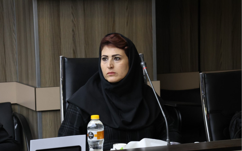 نشست آزمایشگاه های علوم و فناوری‌های شناختی به میزبانی آزمایشگاه ملی نقشه برداری مغز