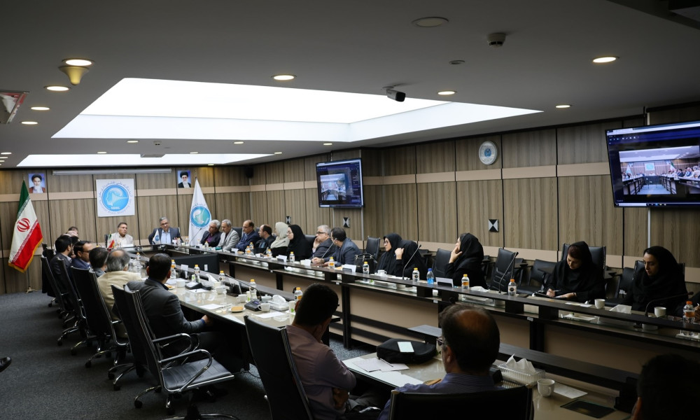 نشست آزمایشگاه های علوم و فناوری‌های شناختی به میزبانی آزمایشگاه ملی نقشه برداری مغز