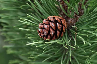 ارائه راهکاری نوآورانه برای ردیابی گردوغبار