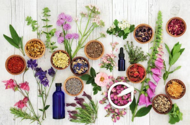 پژوهش‌های فناورانه در حوزه گیاهان دارویی با خدمات آزمایشگاهی پیشرفته