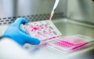 برگزاری دوره جامع کارآموزی علوم زیستی