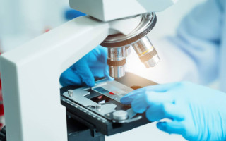 تخفیف زمستانی خدمات آزمونه فولاد