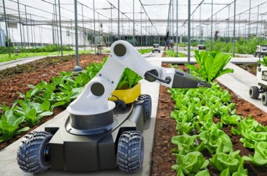 ساخت ربات پایشگر مواد مغذی گیاهان گلخانه‌ای
