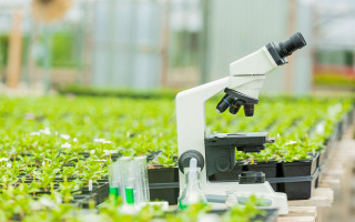 حل مسائل راهبردی کشاورزی با حمایت از پژوهش‌ها