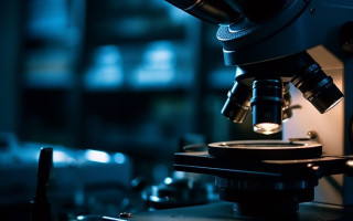 تمرکز بر بازرسی و کنترل کیفیت کالاهای صادراتی و وارداتی نساجی، سلولزی و پلیمر