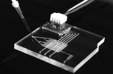 آموزشگاه اوژن کارگاه «میکروفلوییدیک» را برگزار می‌کند