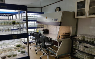 ارائه خدمات تخصصی ژنتیک گیاهی و زیست‌فناوری در طبرستان