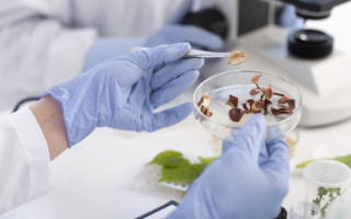 توسعه خدمات تخصصی آزمایشگاهی در صنعت غذا