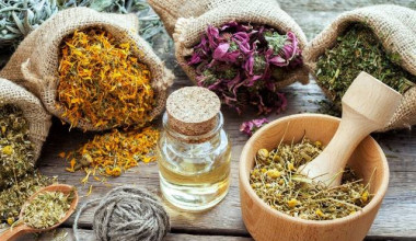 دانشگاه شهید مدنی آذربایجان شرقی میزبان سومین همایش ملی گیاهان دارویی، کارآفرینی و تجاری‌سازی