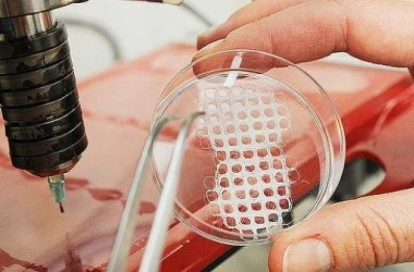 آموزشگاه اوژن دوره «مهندسی بافت» را برگزار می‌کند