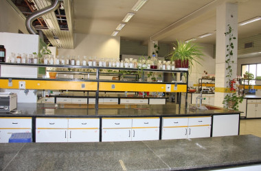 ارائه خدمات تخصصی در حوزه دارو