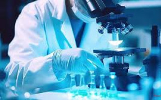 از تحلیل آلاینده‌ها تا تولید جاذب‌های بومی