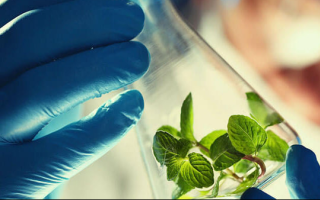 مشارکت بیش از ۱۰۰ دانشگاه و پژوهشگاه در طرح ملی تقسیم کار زیست‌فناوری