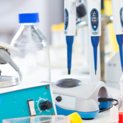 برگزاری کارگاه آموزشی «چالش‌های PET از تولید تا مصرف» به‌صورت حضوری و مجازی