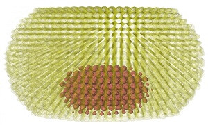 ساخت لیزر با استفاده از نقاط کوانتومی بشقابی شکل