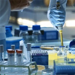 برگزاری کارگاه تصدیق روش‌های آزمون‌های کیفی میکروبیولوژی