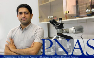 انتشار مقاله استاد شریف در معتبرترین مجله آکادمی ملی علوم آمریکا