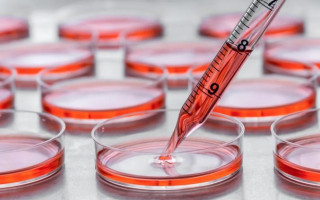 برگزاری دوره مبانی کشت سلول‌های انسانی و جانوری