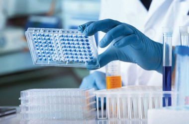 برگزاری کارگاه تخصصی «الایزا و عیب‌یابی آن»