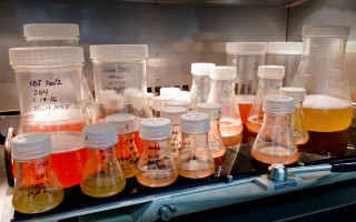 آشنایی کارشناسان آزمایشگاهی با مبانی کشت سلول