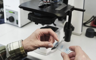 برگزاری کارگاه تخصصی بررسی بیان ژن‌ها