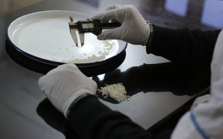 برگزاری دوره آموزشی آزمون‌های فیزیکی و شیمیایی برنج