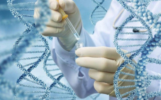 آشنایی دانشگاهیان و پژوهشگران با نحوه استخراج DNA و RNA باکتری