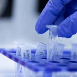 آشنایی دانشجویان و پژوهشگران با تکنیک‌های تجهیز Realtime PCR