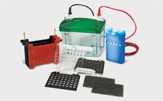 کارگاه شناسایی پروتئین با روش SDS-PAGE