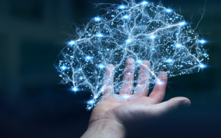 تقویت ظرفیت‌های آزمایشگاه‌های شناختی به کمک شبکه آزمایشگاهی کشور