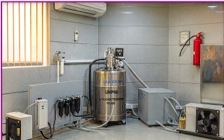 ارائه خدمات نیتروژن مایع در آزمایشگاه دانشگاه شهید چمران اهواز