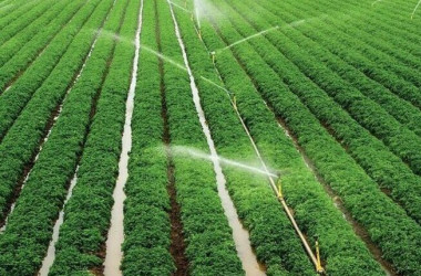 مدرن‌سازی سامانه آب برای کاهش برداشت آب زیرزمینی