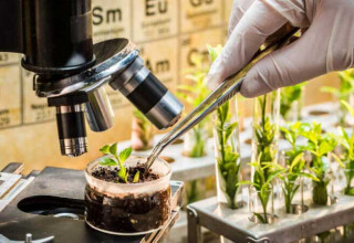 پشتیبانی از تحقیقات دانشجویان و پژوهشگران زیست‌فناوری و بافت