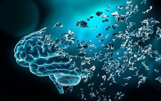 برگزاری کارگاه تخصصی مدل‌سازی حیوانی آلزایمر