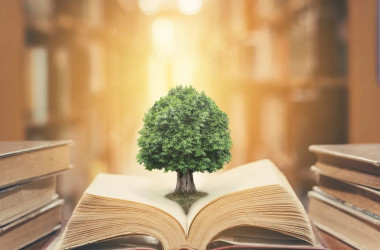 حمایت از پژوهشگران پسادکتری در حوزه‌های محیط‌ زیست و انرژی