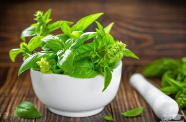 بررسی کشت گیاهان دارویی