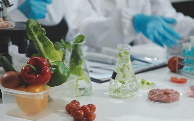 ارائه توانمندی‌های نوآورانه صنعت غذا