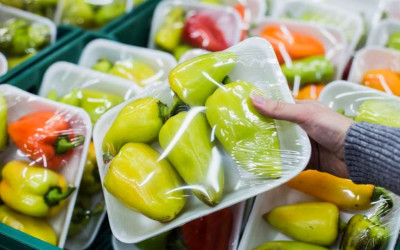 میزبانی خاتم پلیمر از مخاطبان کارگاه آموزشی تخصصی «ایمنی غذایی و بسته‌بندی»