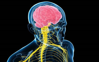 برگزاری وبینار نوروتکنولوژی‌های پوشیدنی به میزبانی دانشگاه مازندران