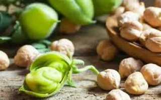 ژن‌های بیماری‌زا در نخود