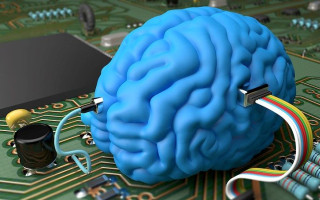 ارائه خدمات آزمایشگاهی در حوزه علوم شناختی و الکترونیک