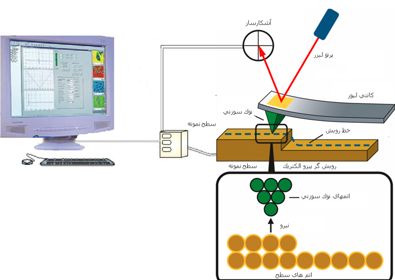 میکروسکوپ نیروی اتمی - AFM