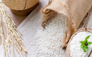 مقایسه دو روش هضم اسیدی و هضم خشک در تعیین فلزات سنگین سرب و کادمیوم به روش جذب اتمی کوره گرافیت در برنج