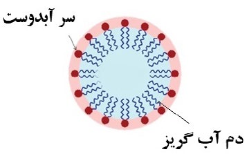 مواد فعال سطحی 